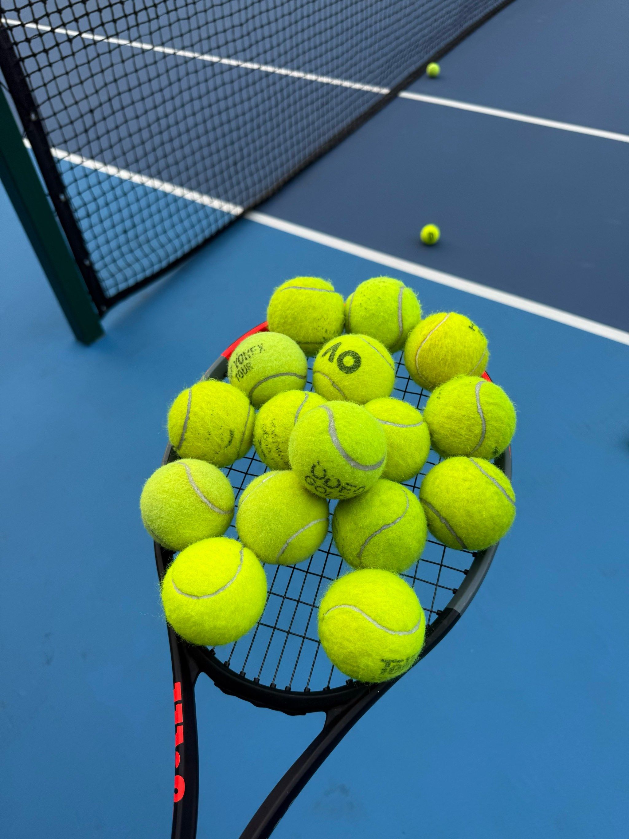 仅对球队有 仅对球队有